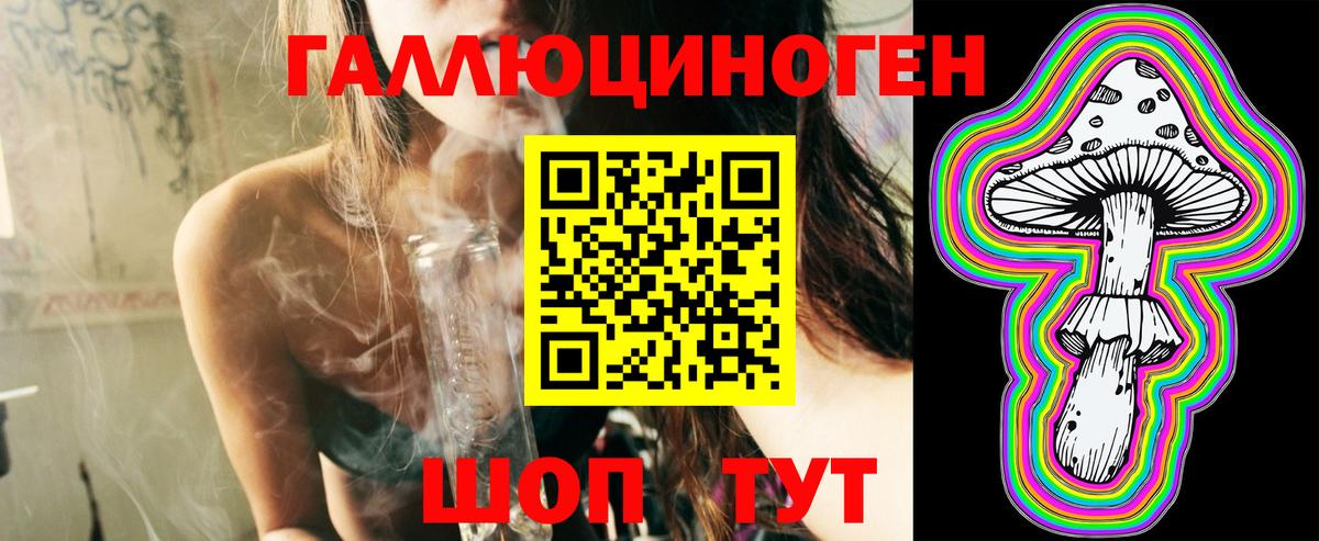 Псилоцибиновые грибы мухоморы  Псилоцибиновые грибы мицелий  Вход с VPN  Чернушка 