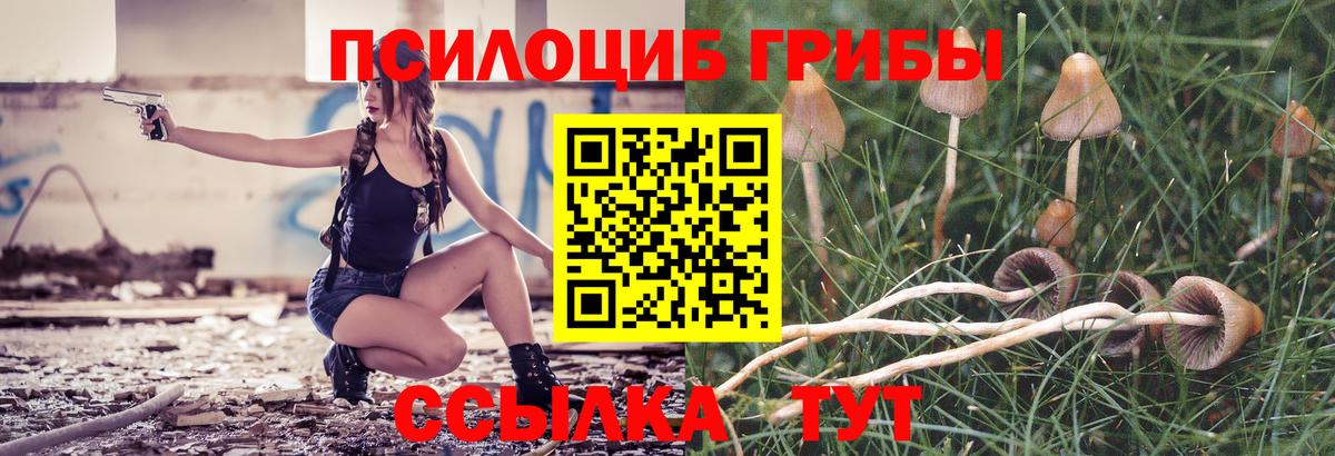 Псилоцибиновые грибы мухоморы Чернушка